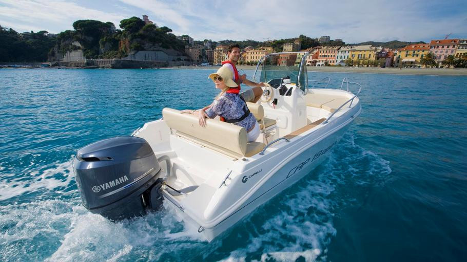 Yamaha F 20 BMHS